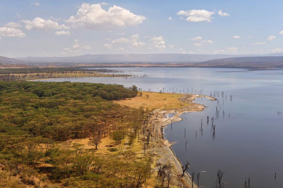 Lake Nakuru National Park Day Trip - Bigmac Africa Safaris