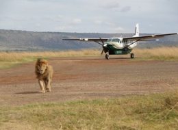 Ultimate Africa Tour Experience