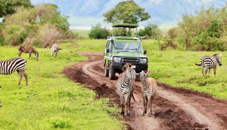 Ultimate Africa Tour Experience